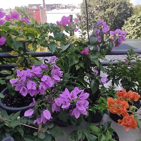 Apartman Bella Vista Rijeka Daire Dış mekan fotoğraf