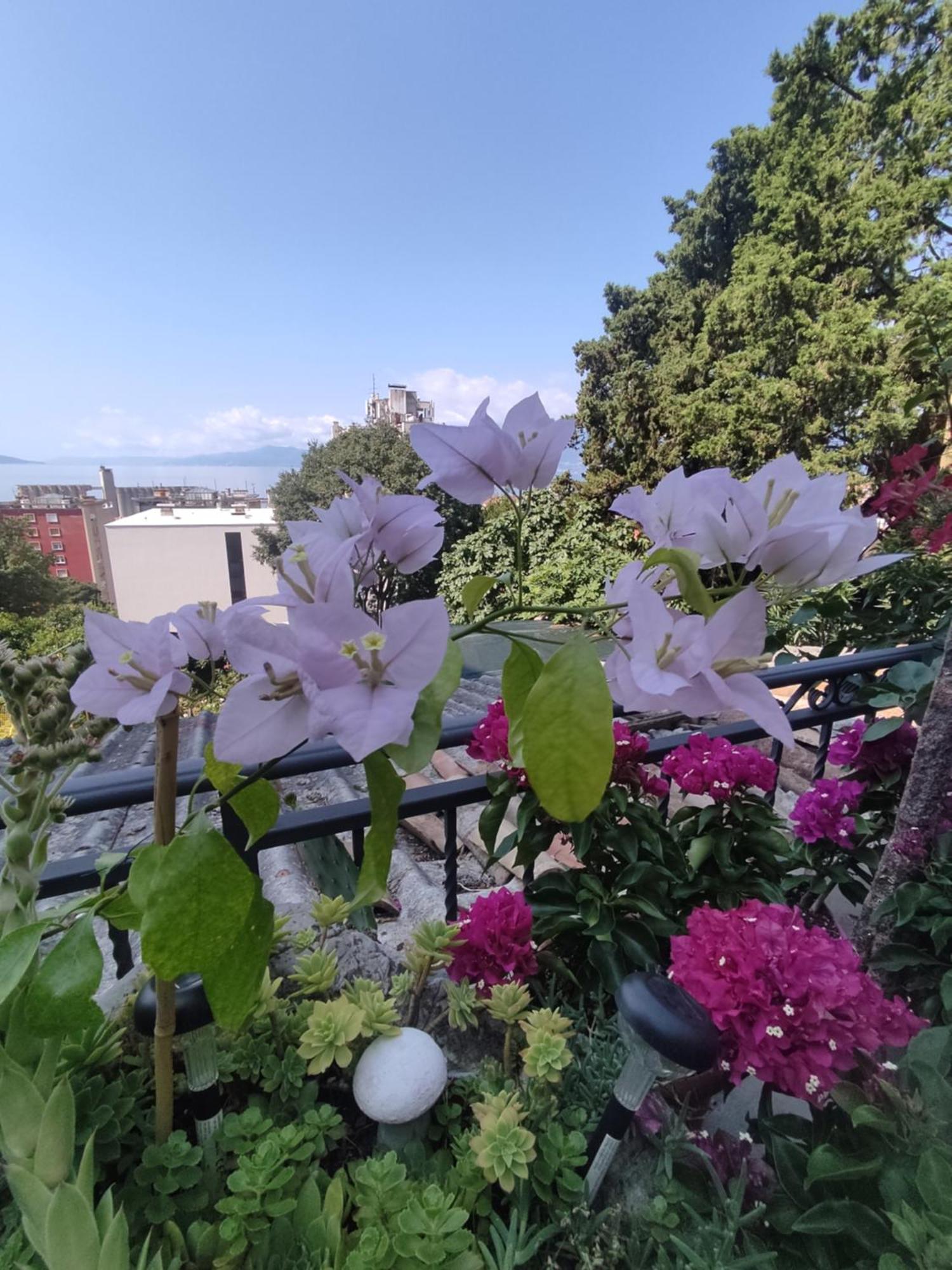 Apartman Bella Vista Rijeka Daire Dış mekan fotoğraf